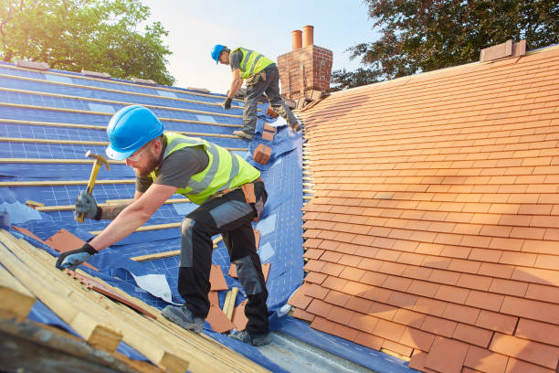 Best Metal Roofing Installation  in Clayton, AL